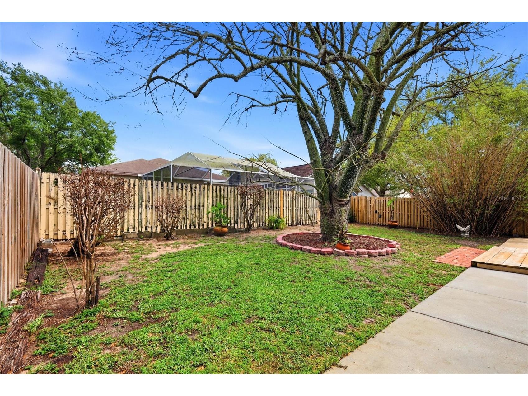 919 Grand Canyon Drive Valrico FL 33594 A4686693 image30