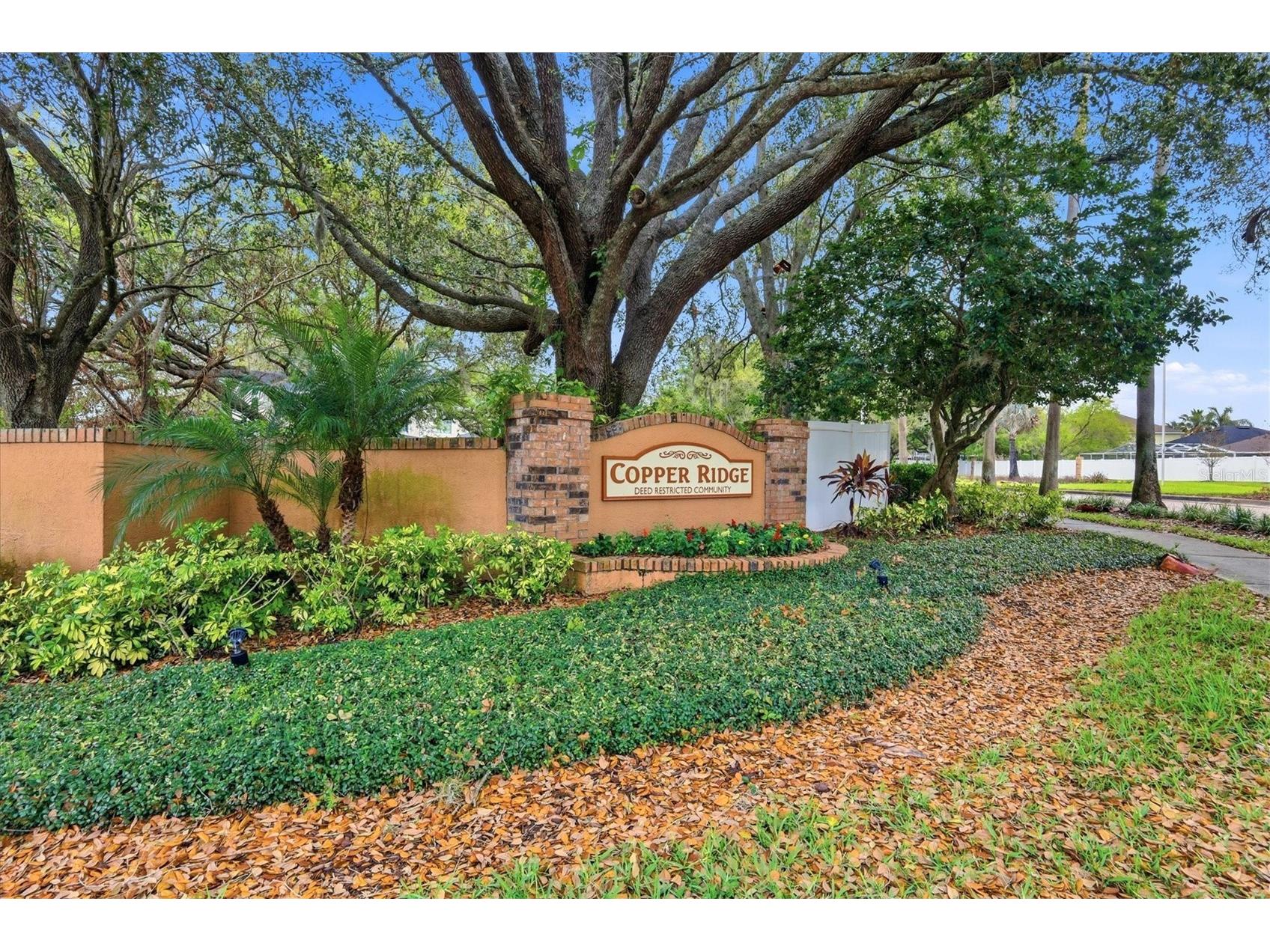 919 Grand Canyon Drive Valrico FL 33594 A4686693 image33