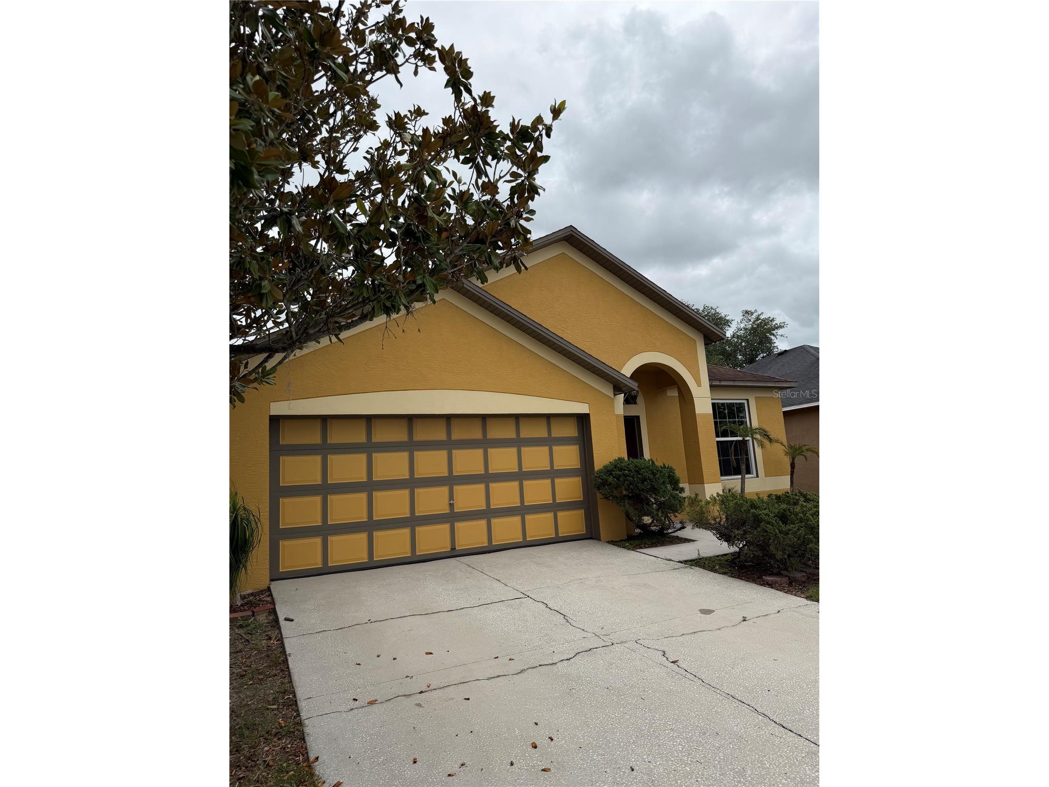 919 Grand Canyon Drive Valrico FL 33594 TB8513999 image1