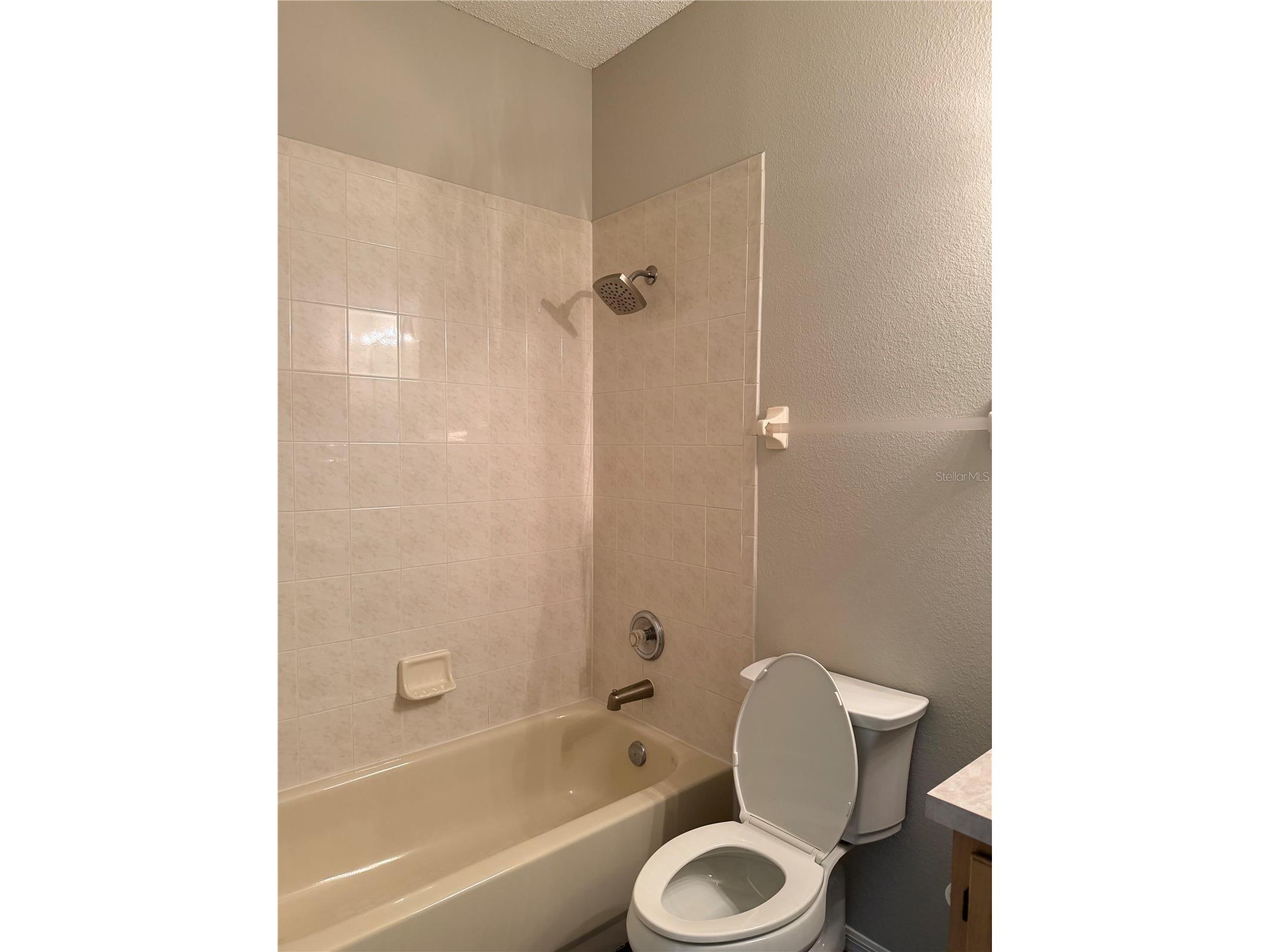919 Grand Canyon Drive Valrico FL 33594 TB8513999 image12