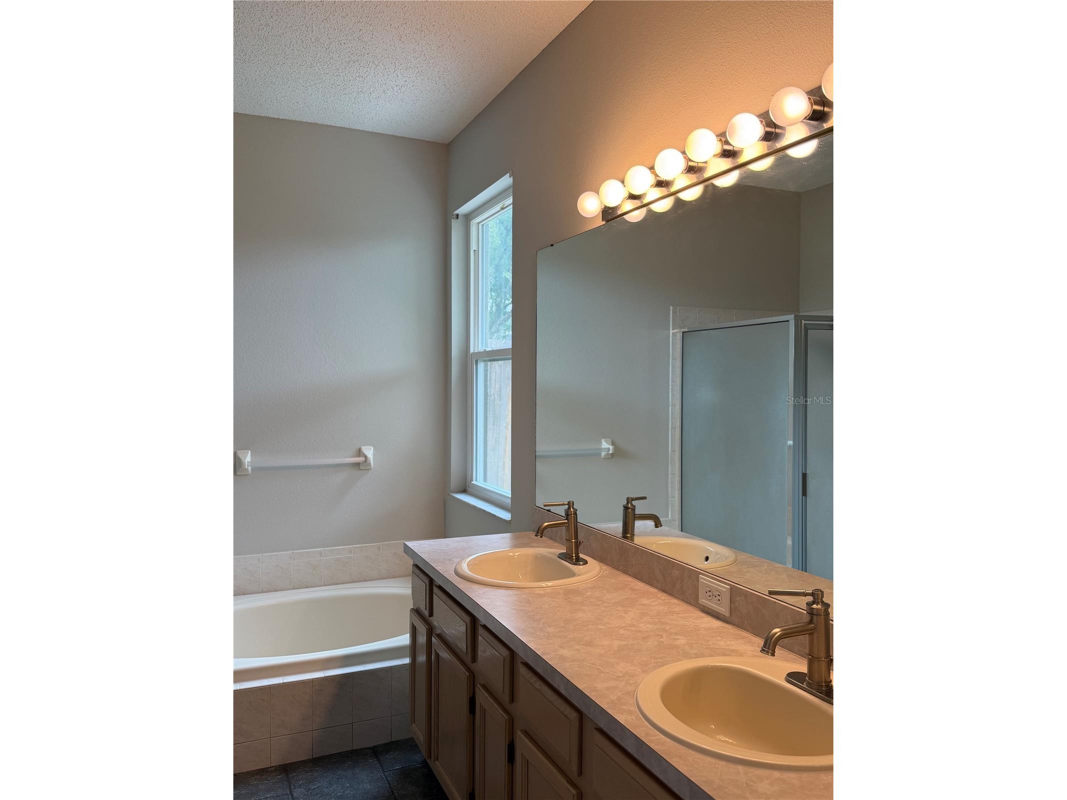 919 Grand Canyon Drive Valrico FL 33594 TB8513999 image15