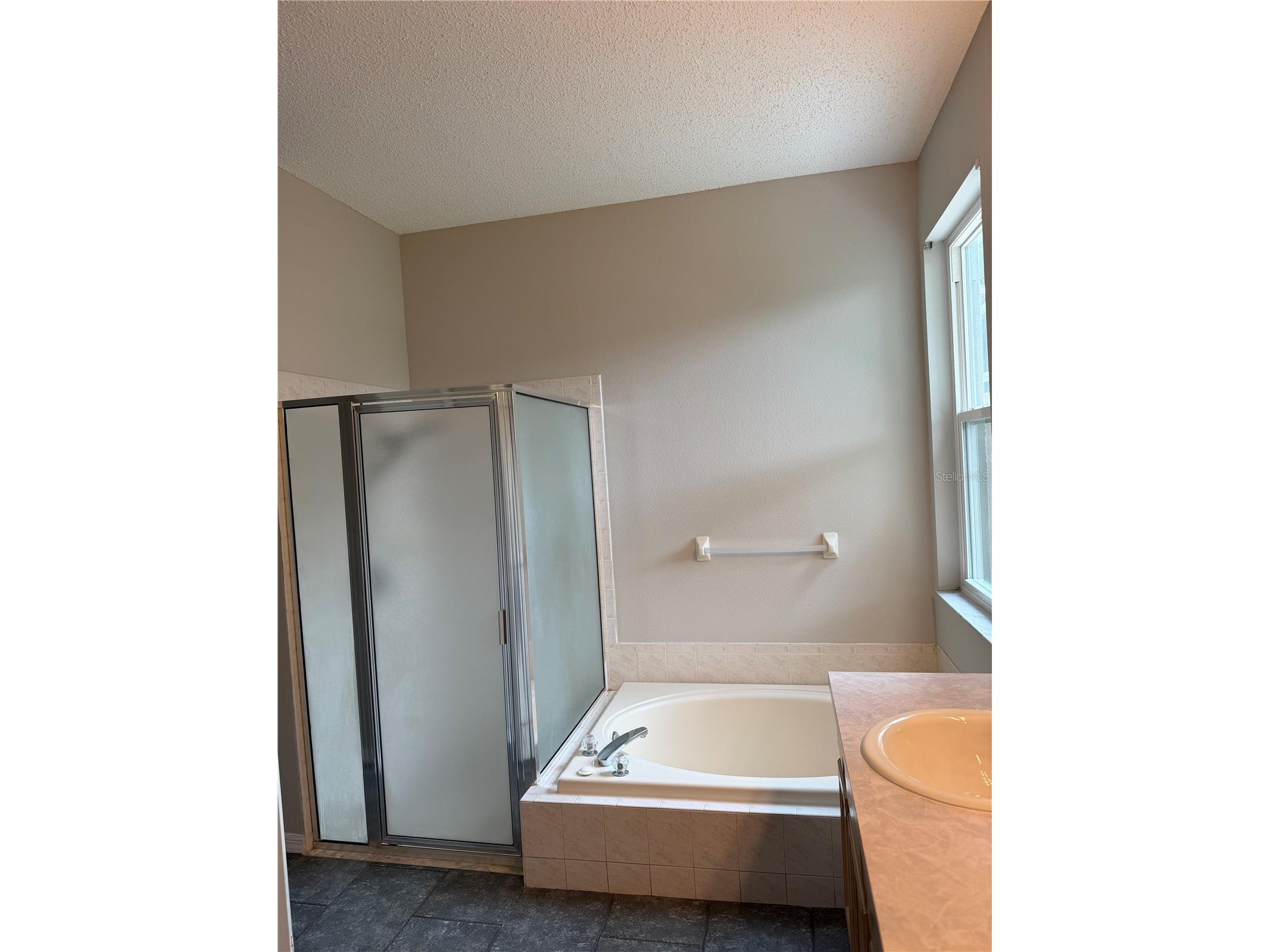 919 Grand Canyon Drive Valrico FL 33594 TB8513999 image16