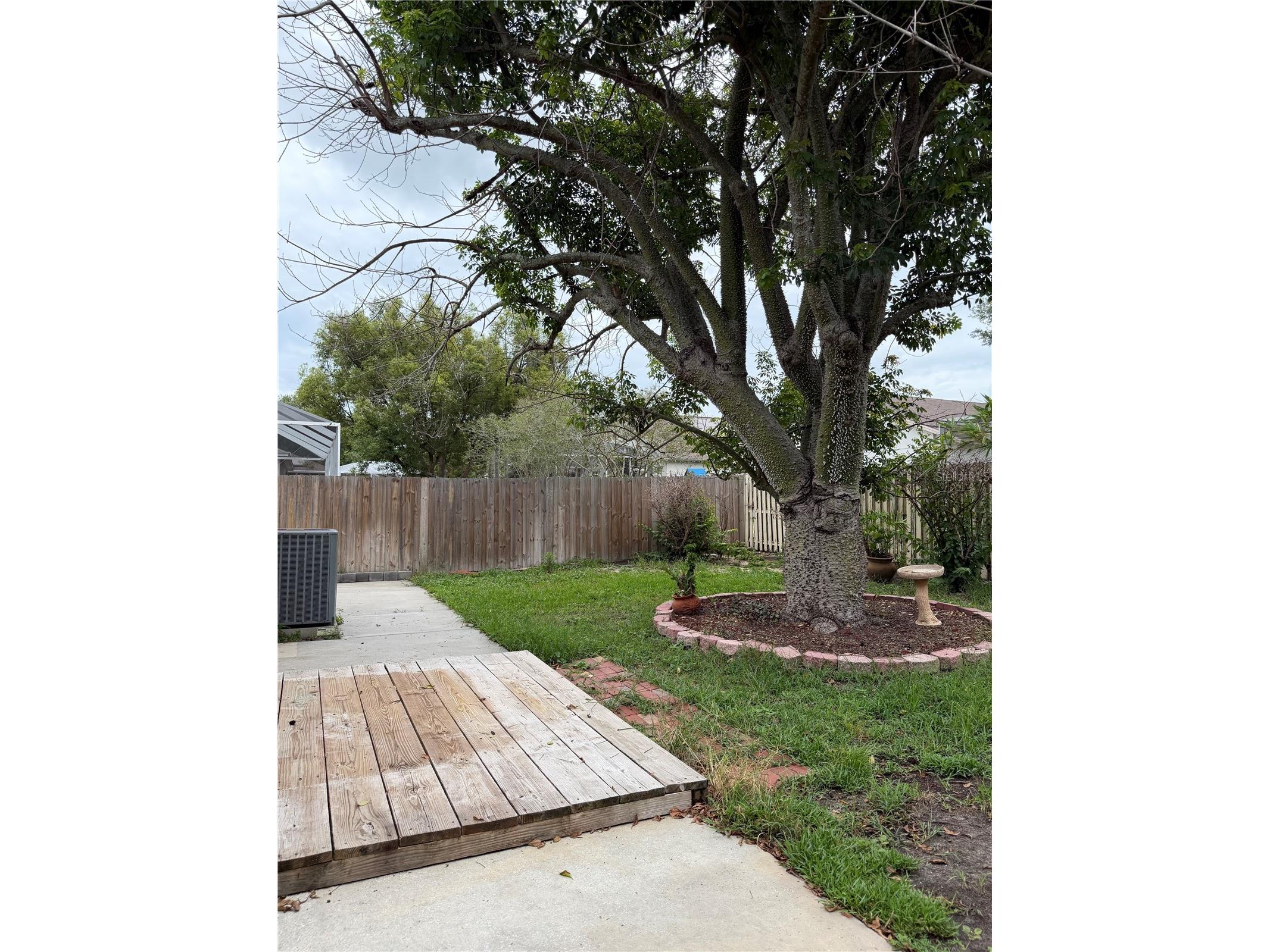 919 Grand Canyon Drive Valrico FL 33594 TB8513999 image19