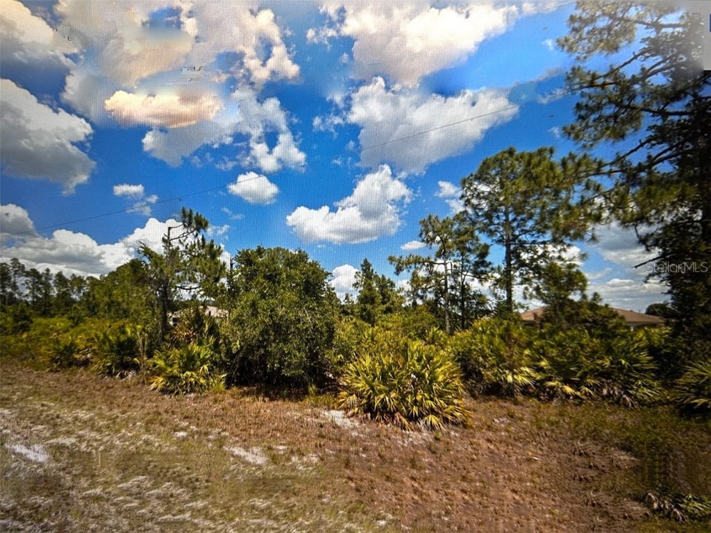 919 Hepburn Avenue Lehigh Acres FL 33974 OM660261 image1