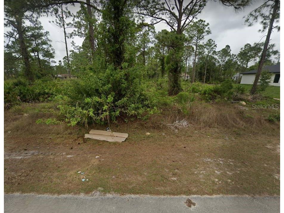 919 Magnolia Avenue Lehigh Acres FL 33972 T3452790 image1