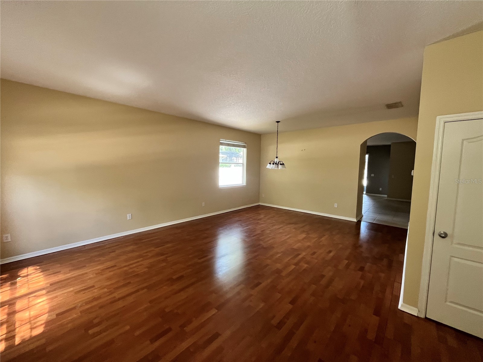 919 Magnolia Blossom Court Apopka FL 32712 O6393738 image8