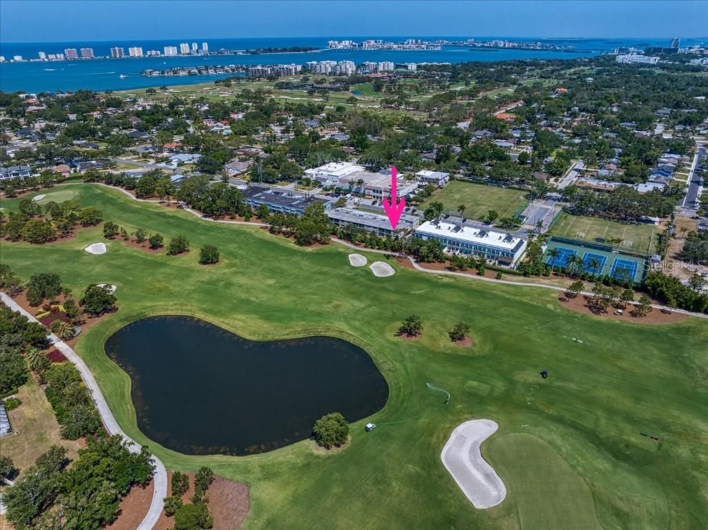 919 Osceola Road #202 Belleair FL 33756 TB8379998 image1