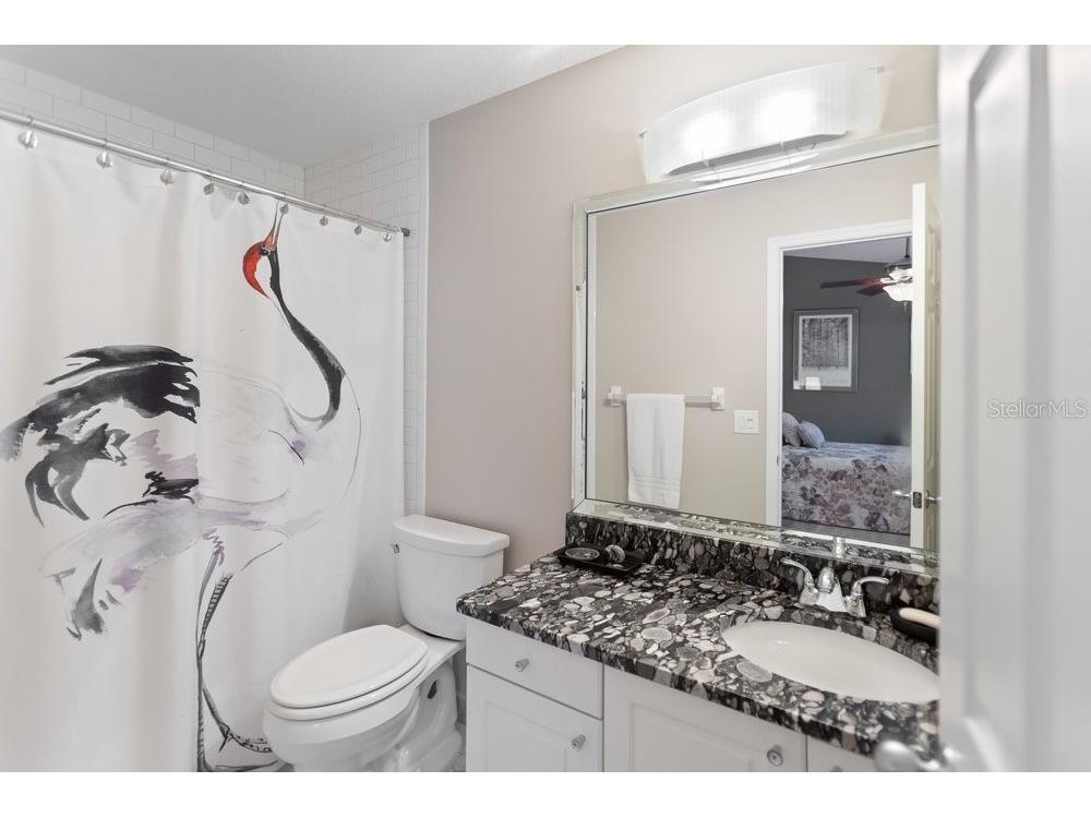 919 S Rome Avenue #8 Tampa FL 33606 TB8510593 image34