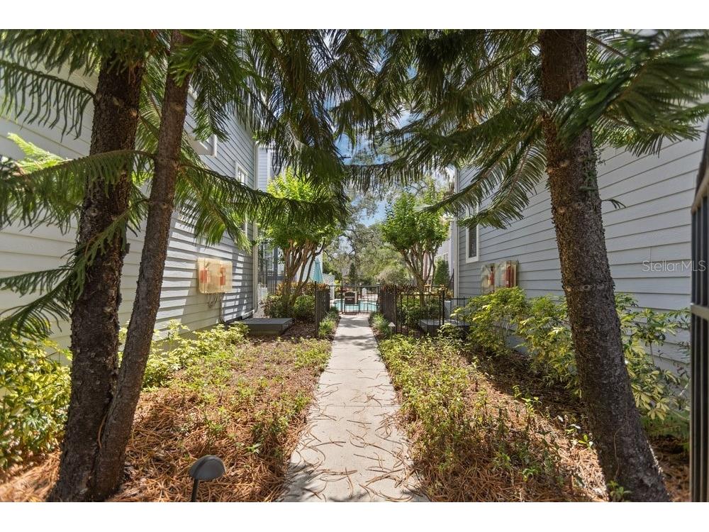 919 S Rome Avenue #8 Tampa FL 33606 TB8510593 image39