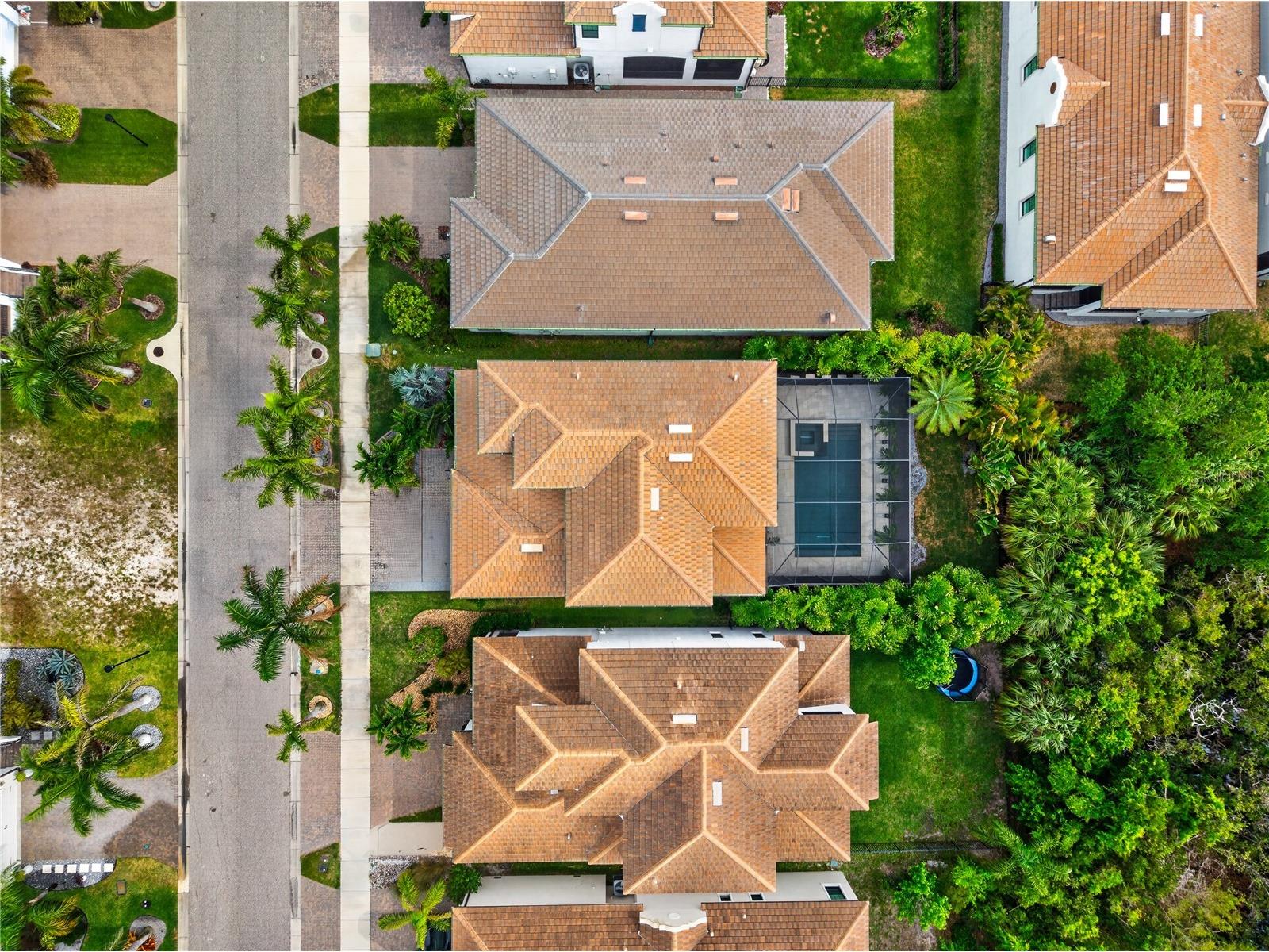 919 Seagrape Drive Ruskin FL 33570 TB8502154 image56