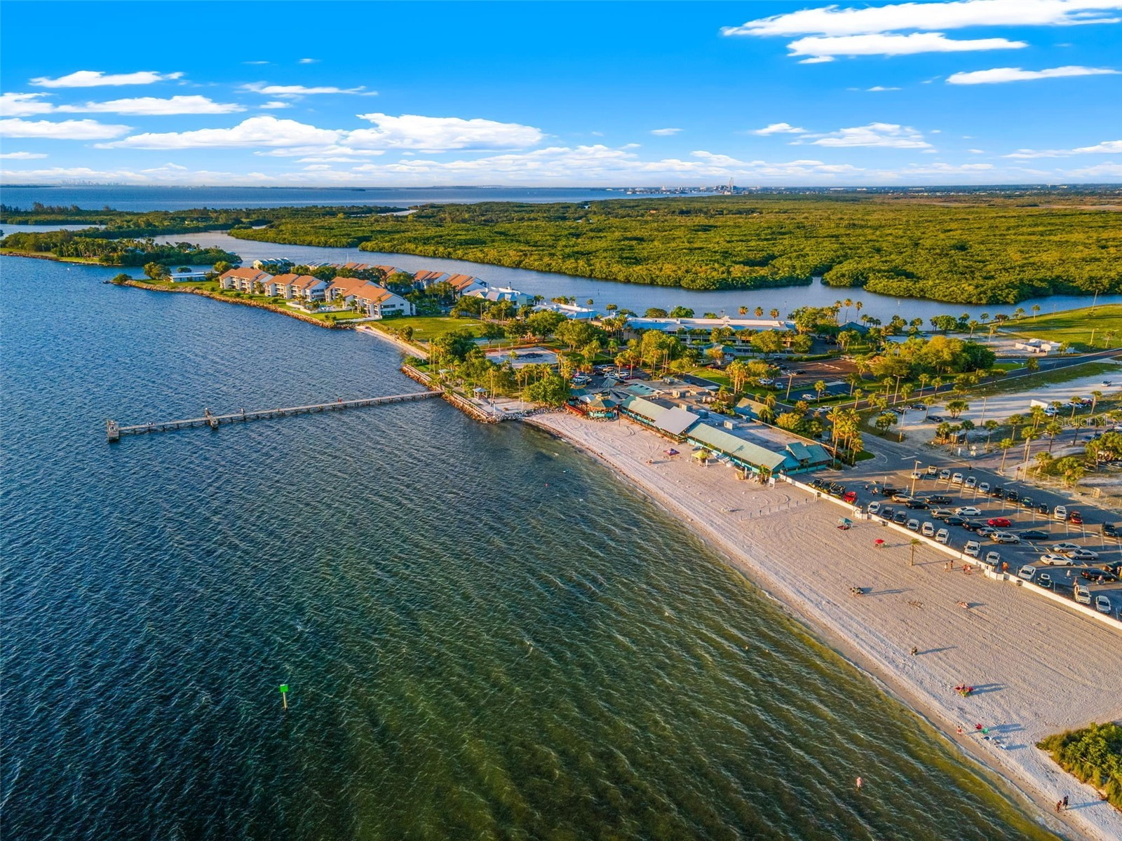 919 Seagrape Drive Ruskin FL 33570 TB8502154 image76