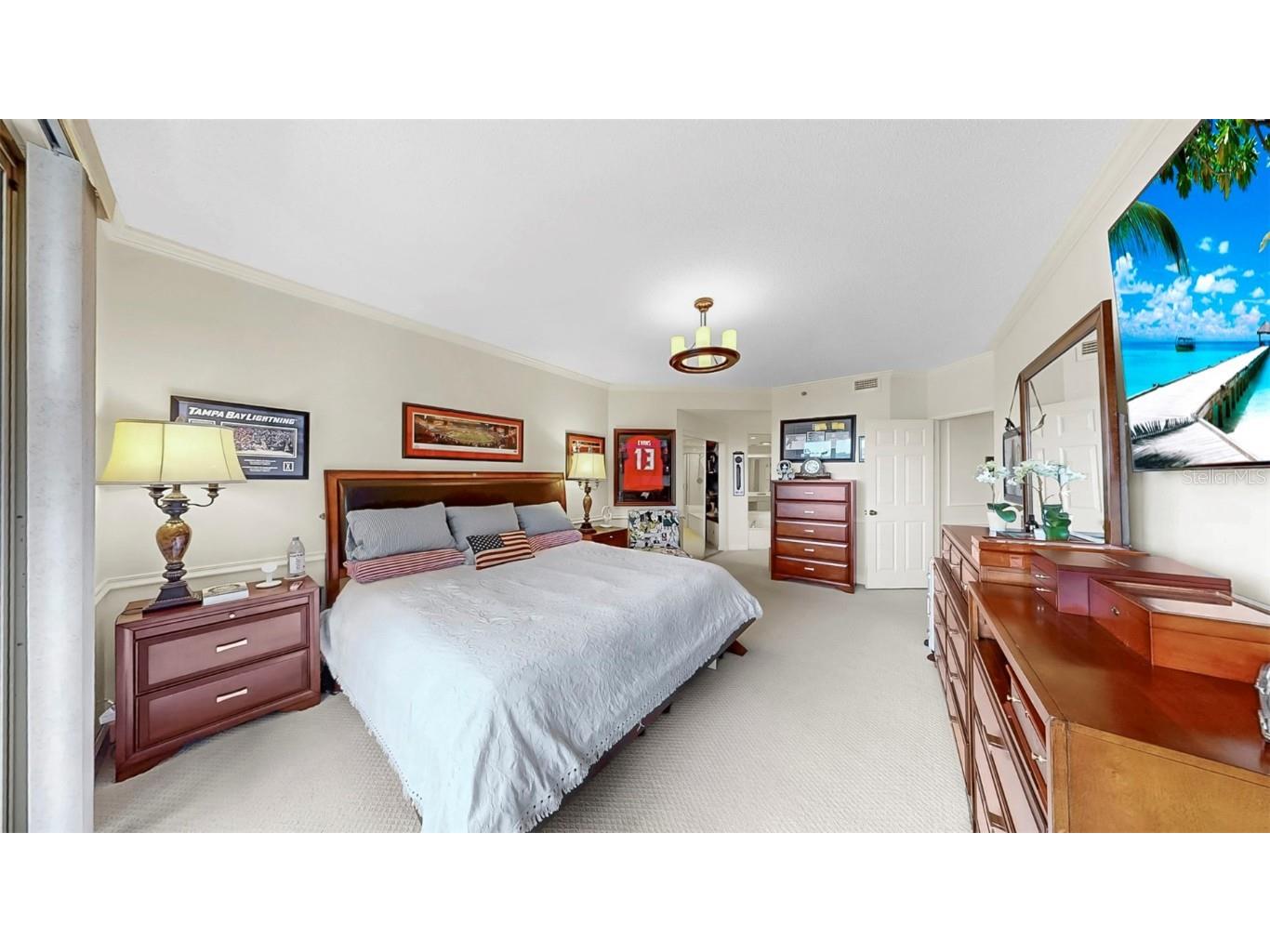 919 Seddon Cove Way #919 Tampa FL 33602 TB8371145 image33