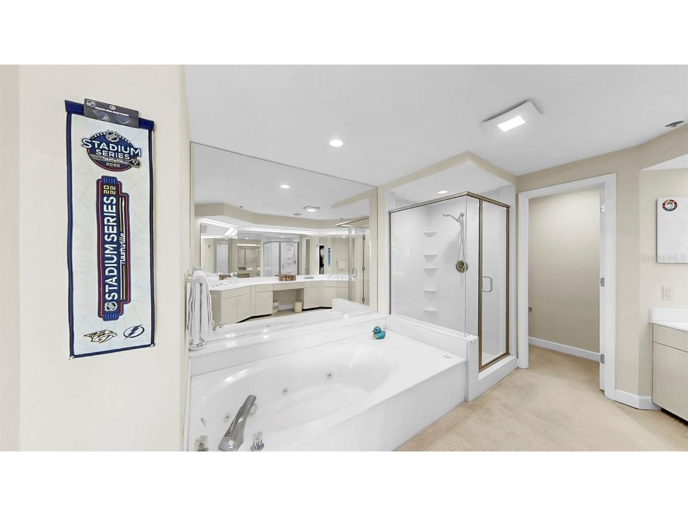 919 Seddon Cove Way #919 Tampa FL 33602 TB8371145 image40