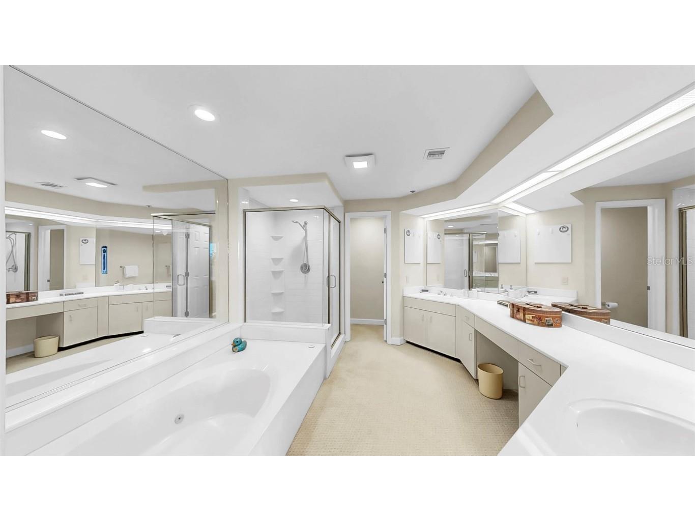 919 Seddon Cove Way #919 Tampa FL 33602 TB8371145 image41