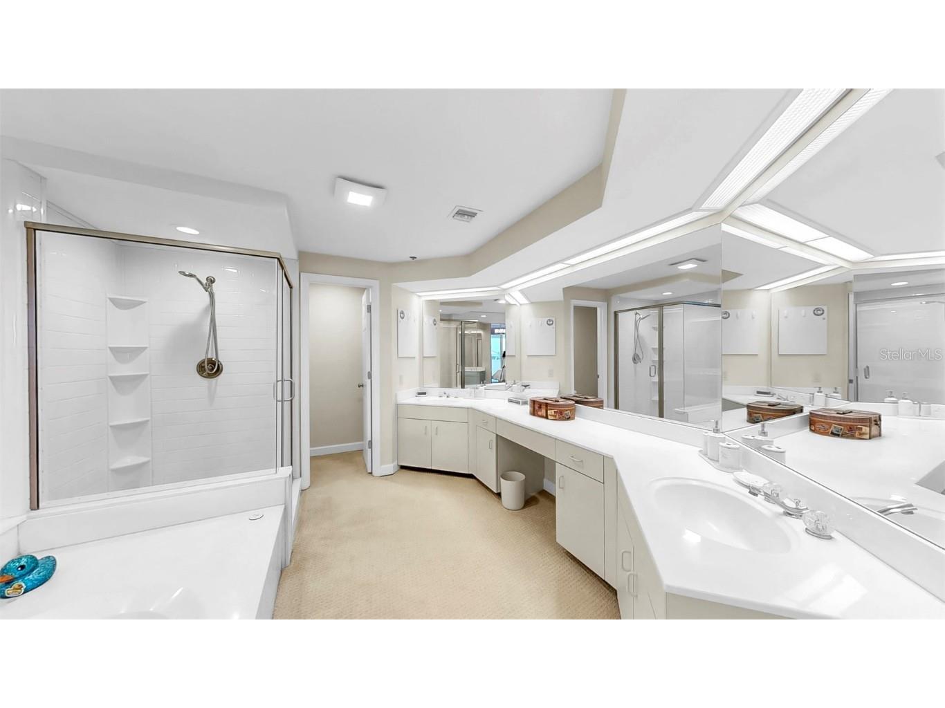 919 Seddon Cove Way #919 Tampa FL 33602 TB8371145 image42