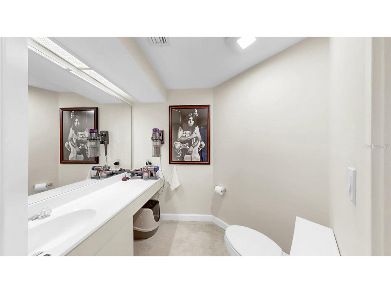 919 Seddon Cove Way #919 Tampa FL 33602 TB8371145 image46