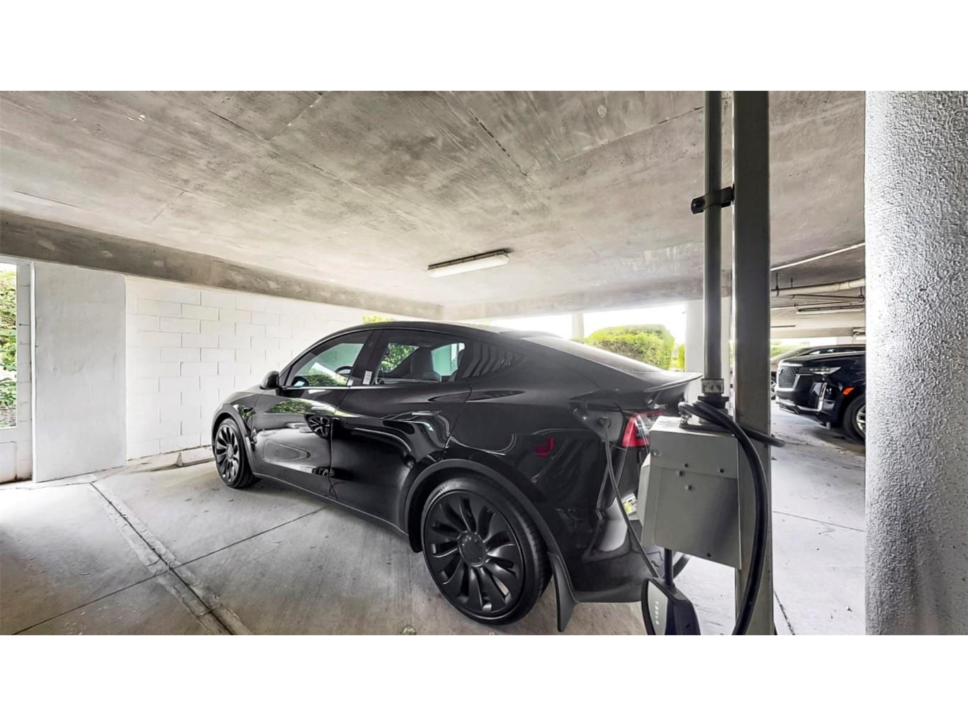 919 Seddon Cove Way #919 Tampa FL 33602 TB8371145 image51