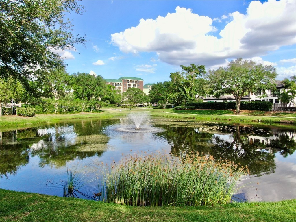 919 Seddon Cove Way #919 Tampa FL 33602 TB8371145 image53