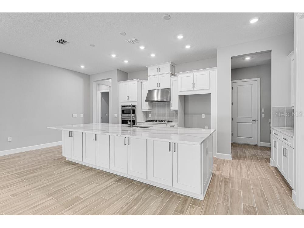 919 Tassleflower Trail Saint Cloud FL 34771 O6260860 image3