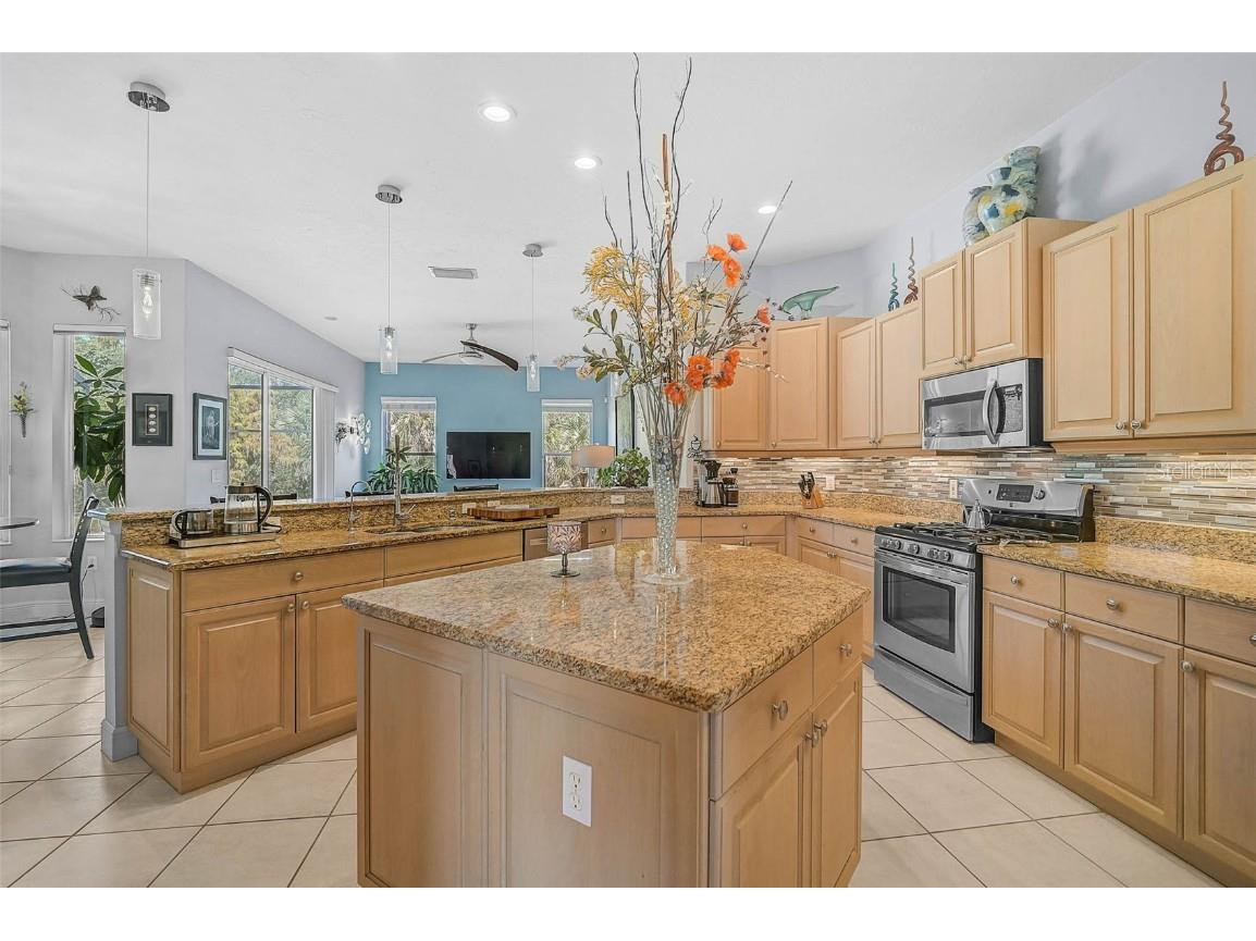 919 Tranquility Circle Osprey FL 34229 - North Creek A4674201 image31