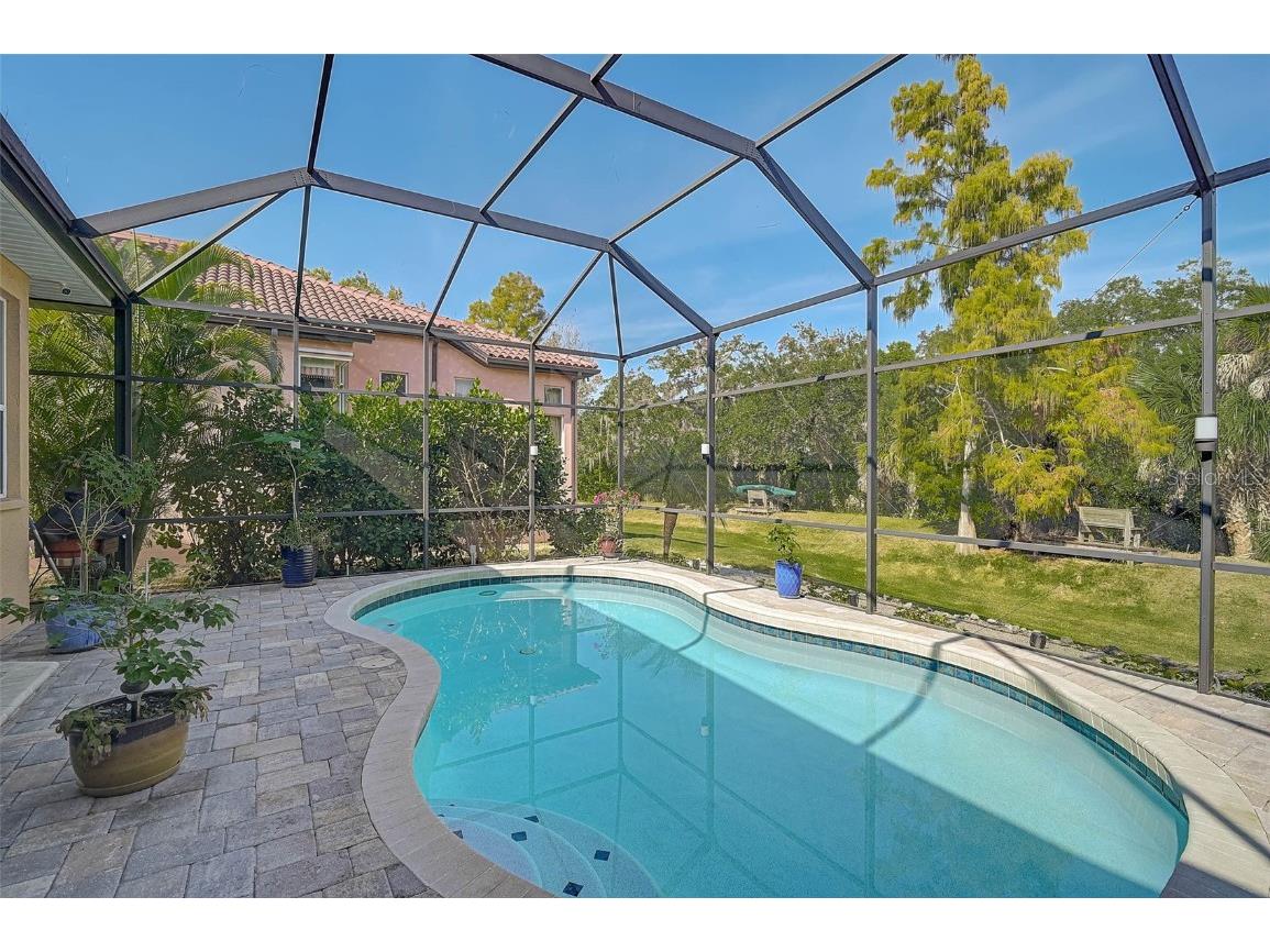 919 Tranquility Circle Osprey FL 34229 - North Creek A4674201 image40