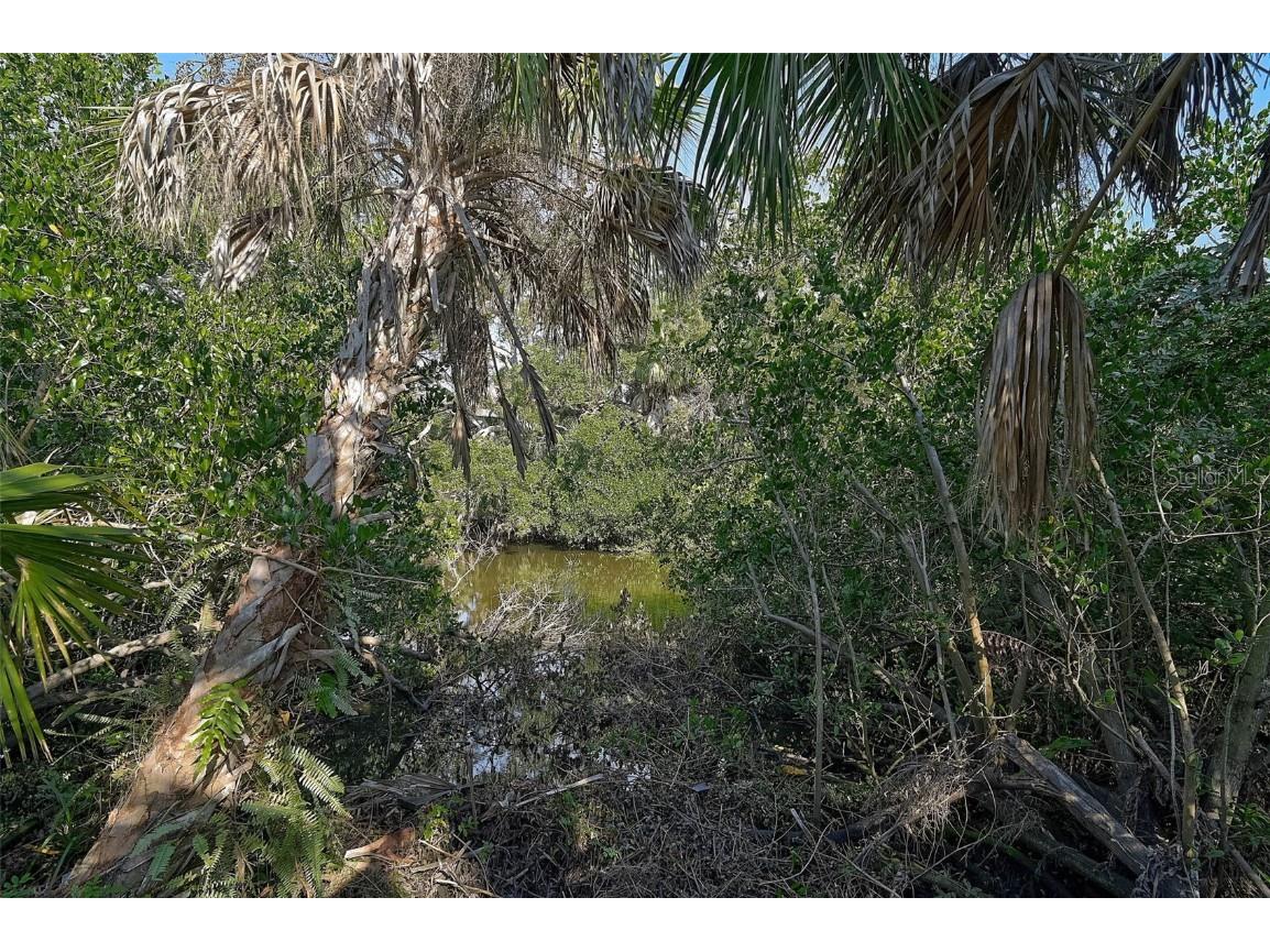 919 Tranquility Circle Osprey FL 34229 - North Creek A4674201 image47