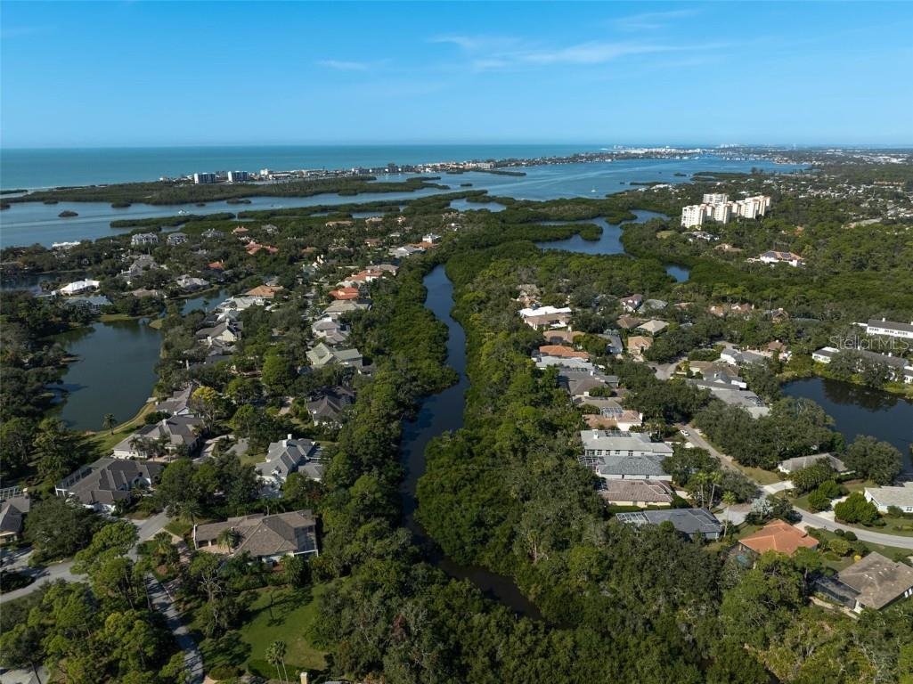 919 Tranquility Circle Osprey FL 34229 - North Creek A4674201 image58