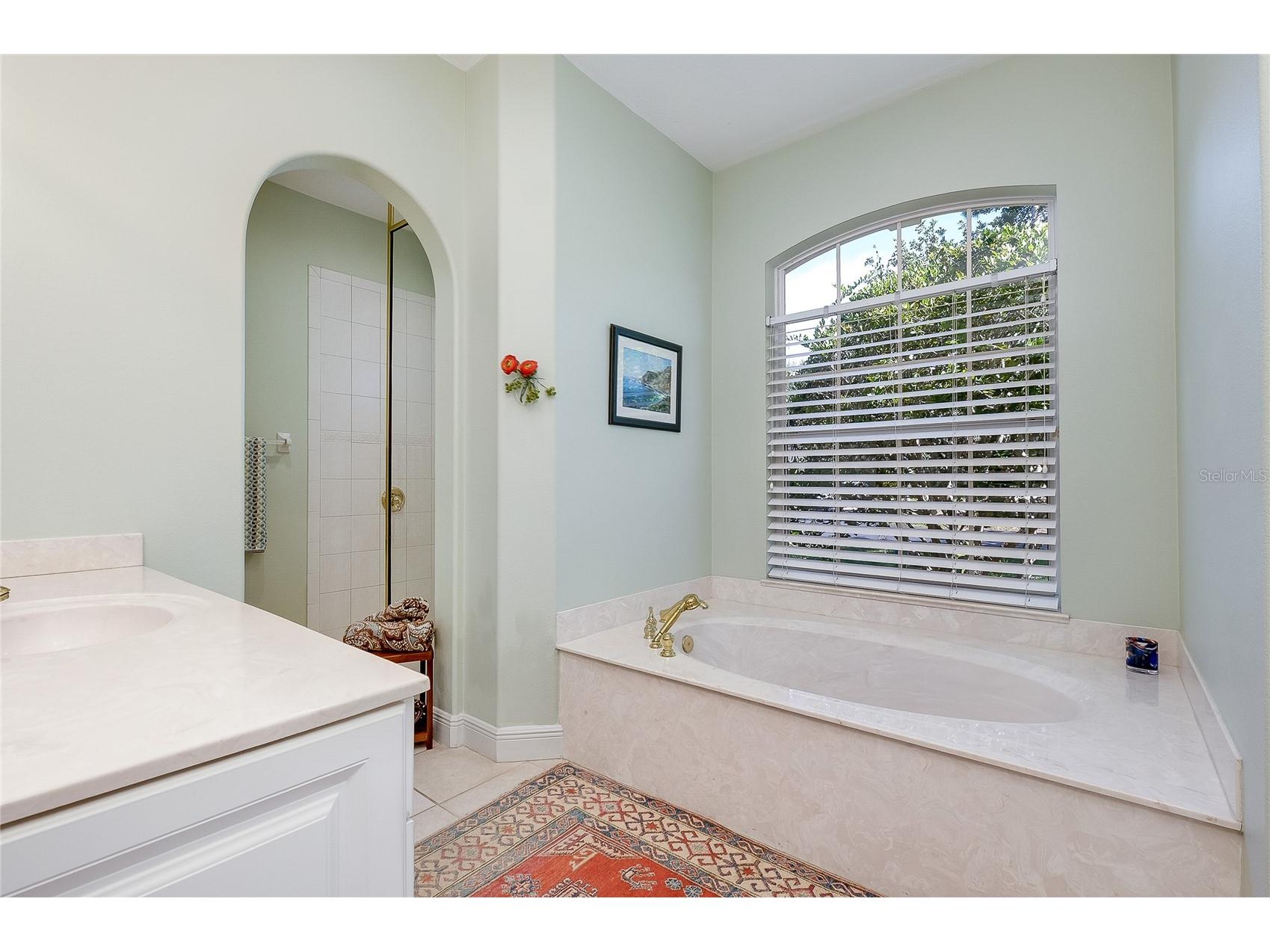 919 Tranquility Circle Osprey FL 34229 - North Creek N6144801 image34