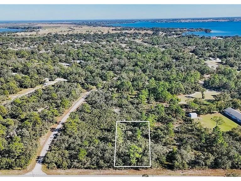 919 Wildflower Street Lake Placid FL 33852 TB8354078 image1