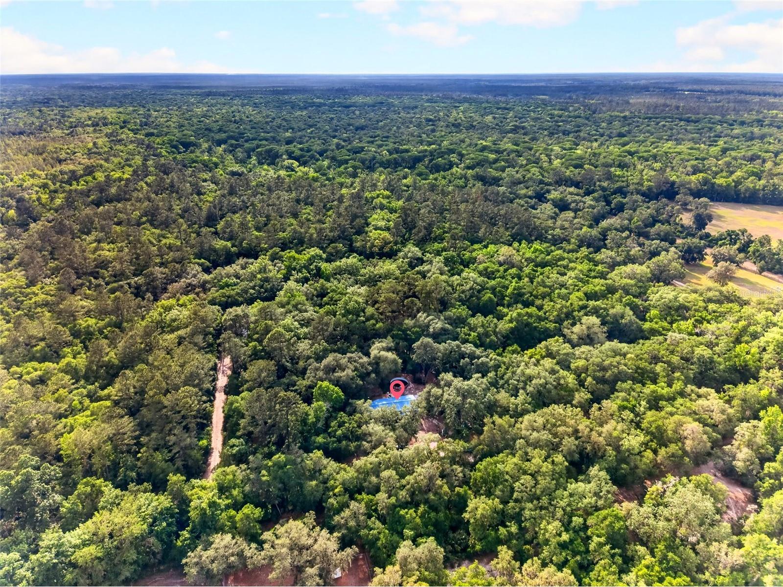 9190 NE 144th Terrace Silver Springs FL 34488 OM723584 image40