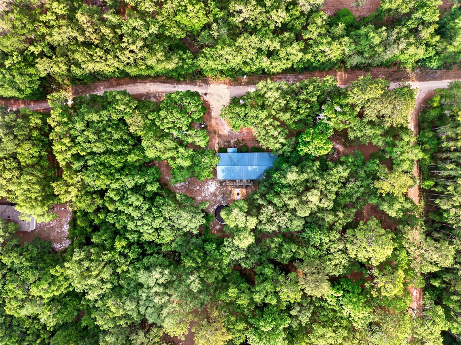 9190 NE 144th Terrace Silver Springs FL 34488 OM723584 image42