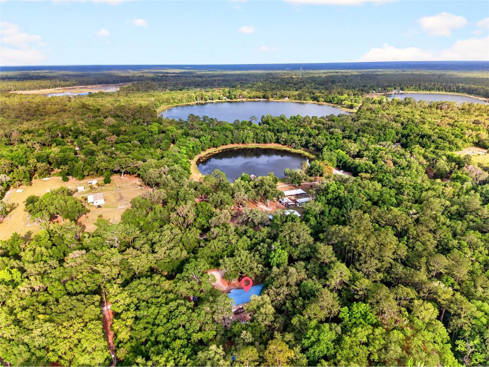 9190 NE 144th Terrace Silver Springs FL 34488 OM723584 image43
