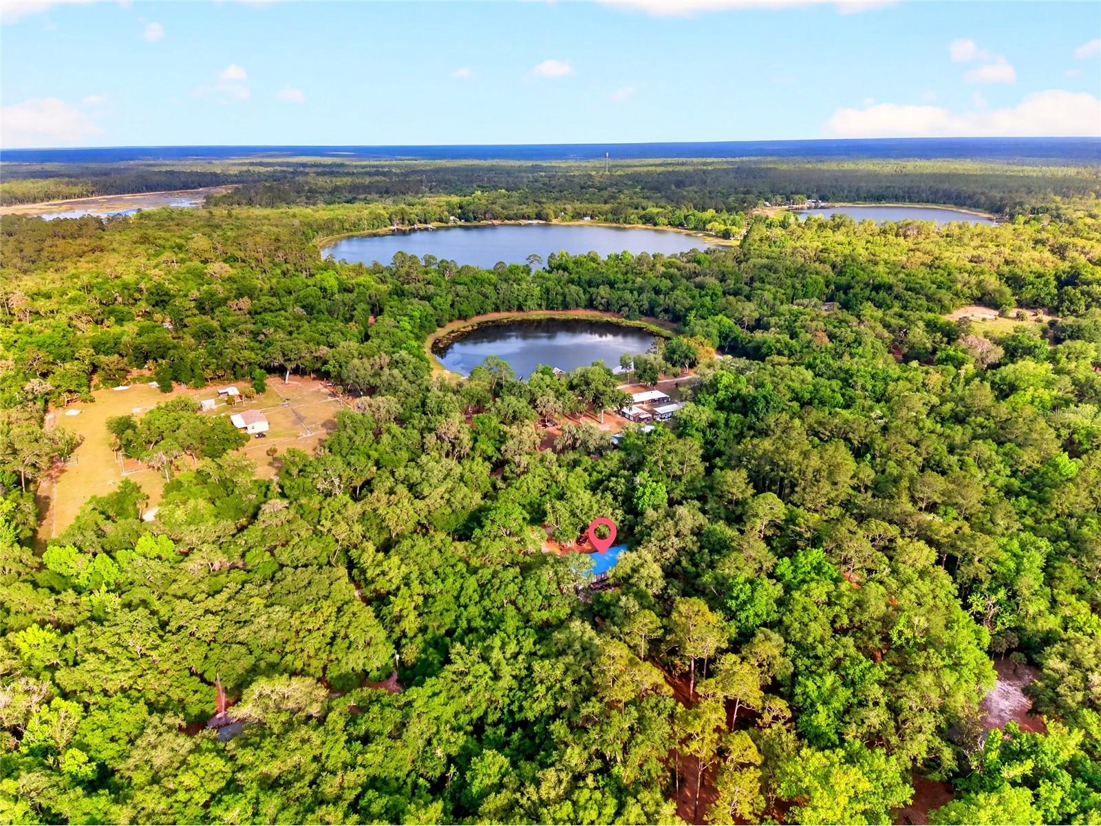 9190 NE 144th Terrace Silver Springs FL 34488 OM723584 image44
