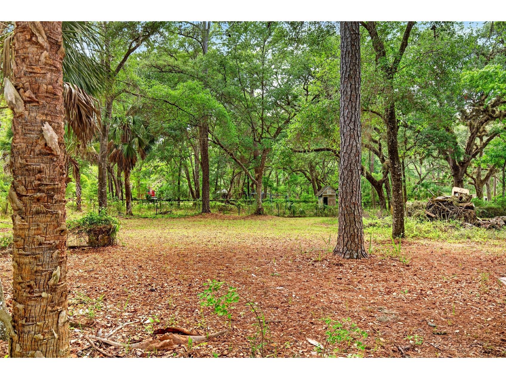 9190 NE 144th Terrace Silver Springs FL 34488 OM723584 image6
