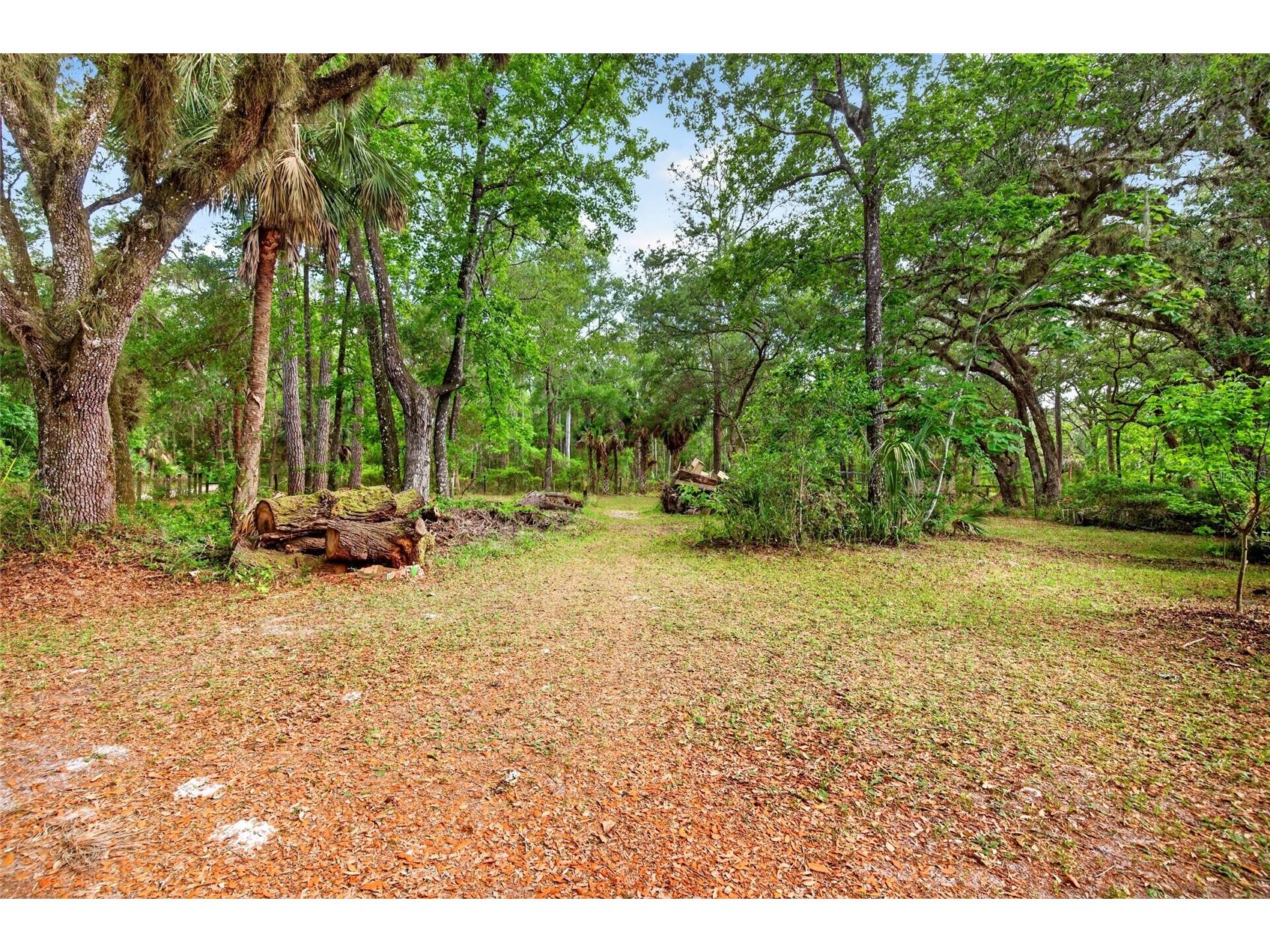 9190 NE 144th Terrace Silver Springs FL 34488 OM723584 image7