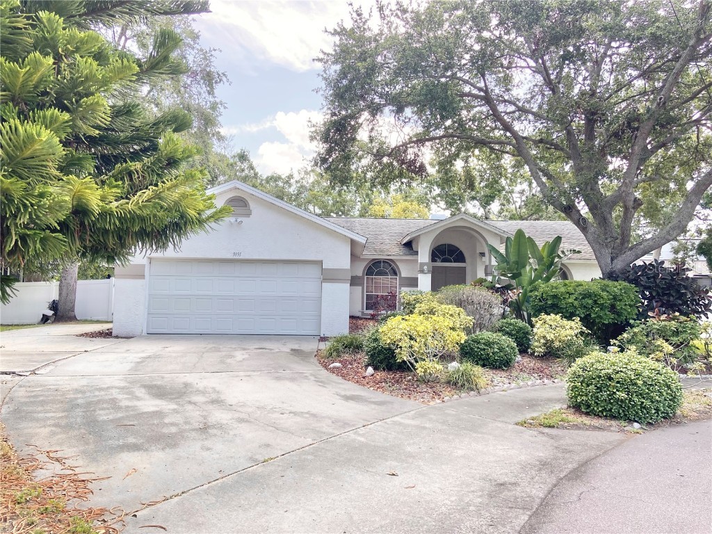 9191 64th Way N Pinellas Park FL 33782 TB8390569 image1