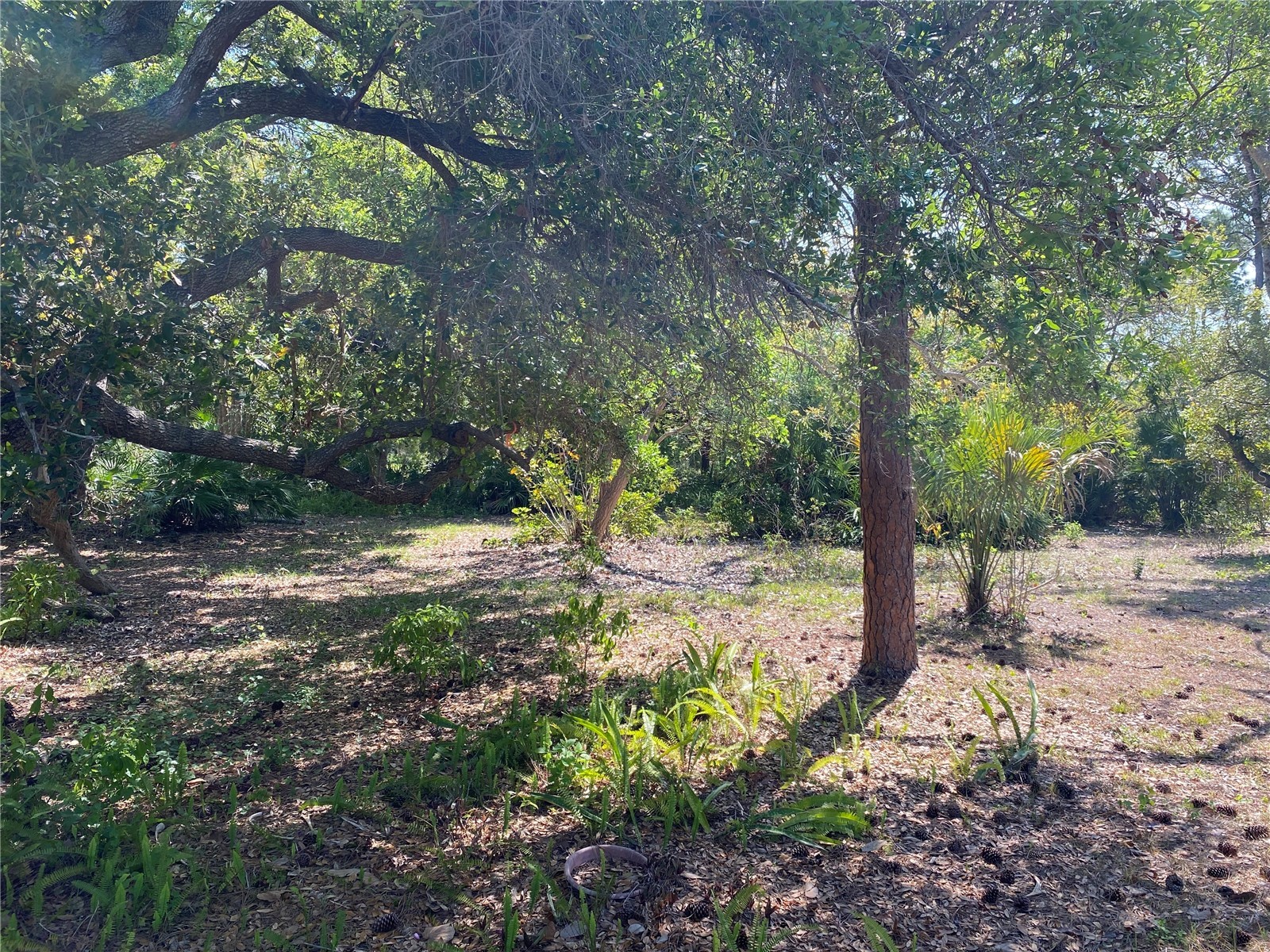 9191 Gewant Boulevard Punta Gorda FL 33982 C7524642 image5