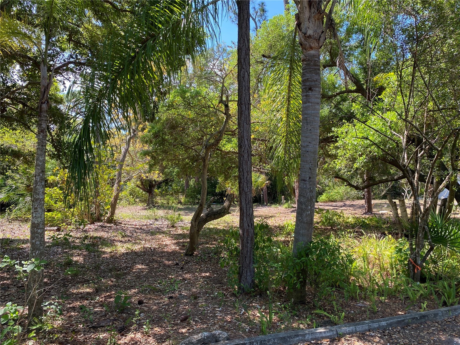 9191 Gewant Boulevard Punta Gorda FL 33982 C7524642 image9