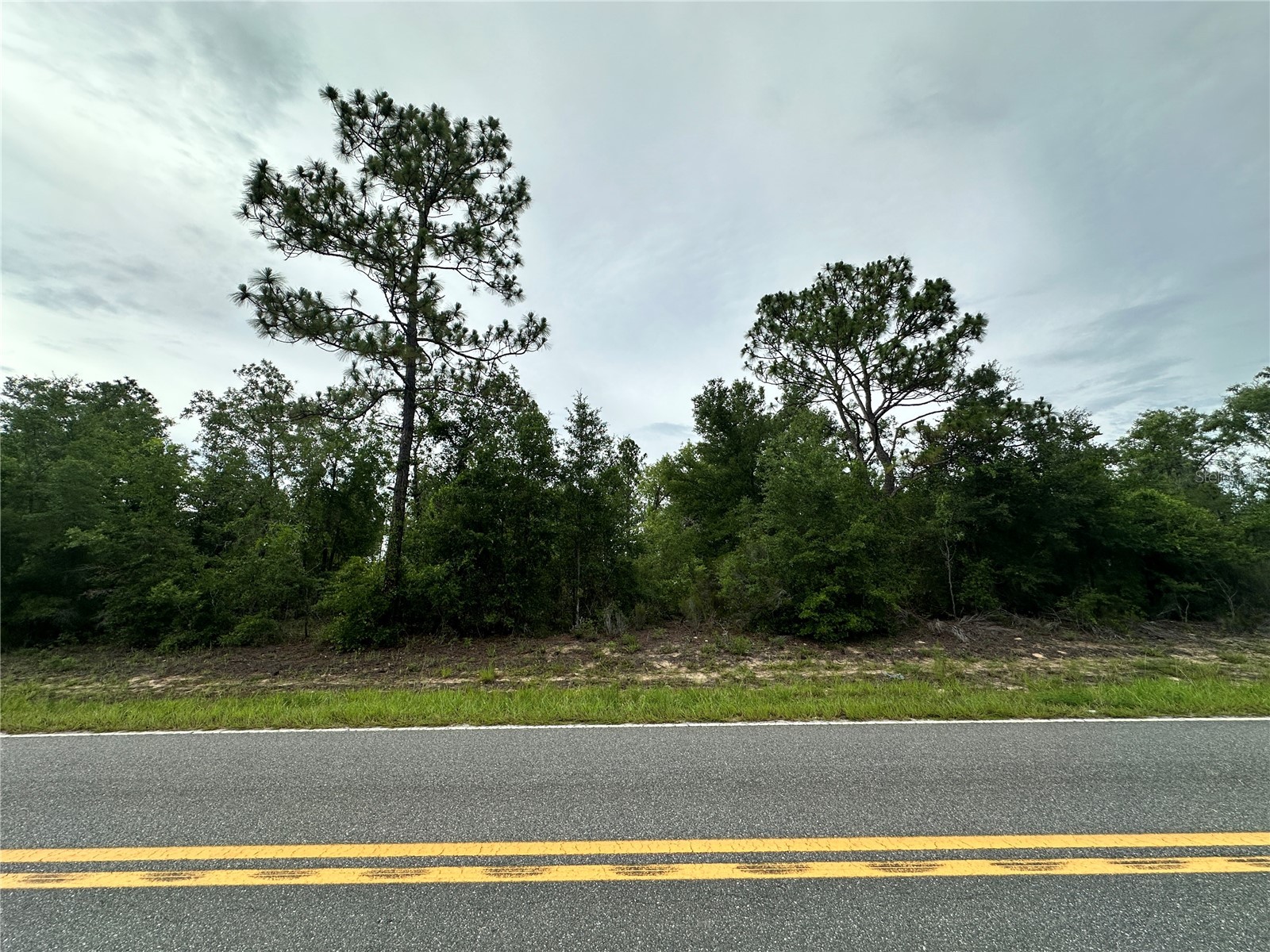 9191 NE 80th Street Bronson FL 32621 OM727034 image1