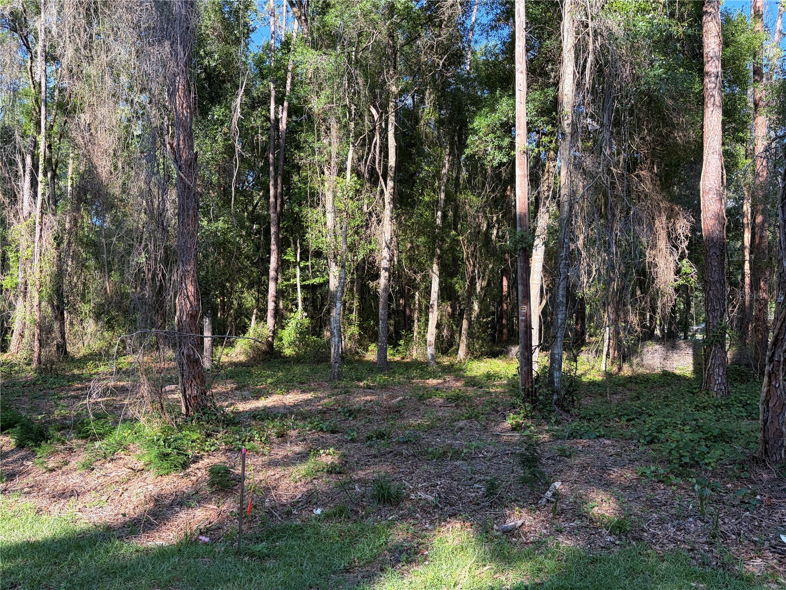9192 Cr 647cs Bushnell FL 33513 G5112378 image1