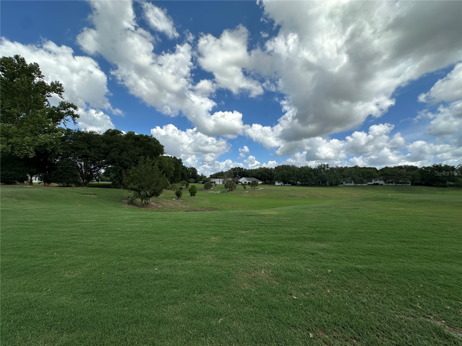 9193 SW 91st Circle Ocala FL 34481 OM725126 image43