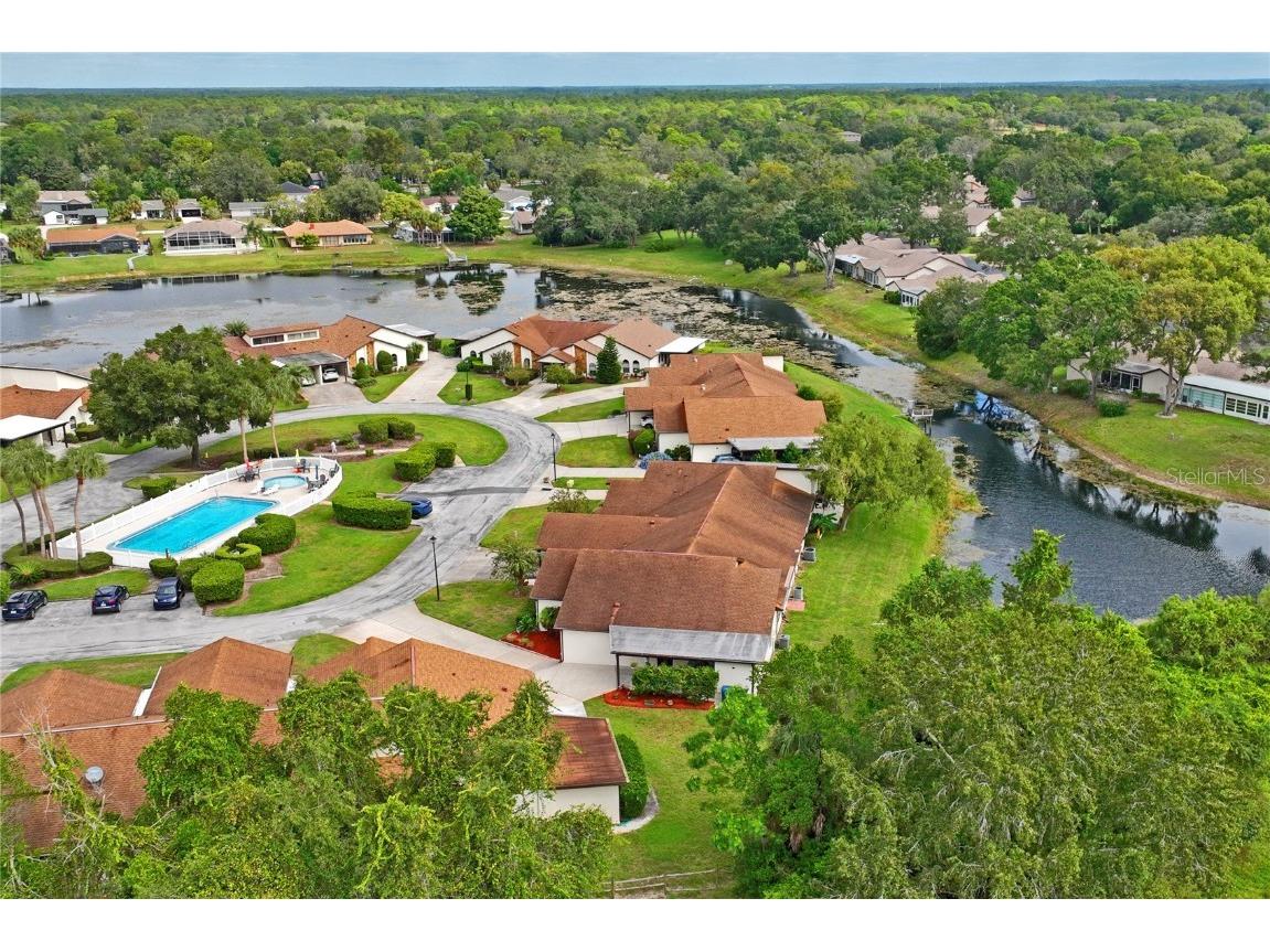 9195 Lingrove Road Weeki Wachee FL 34613 W7879380 image39