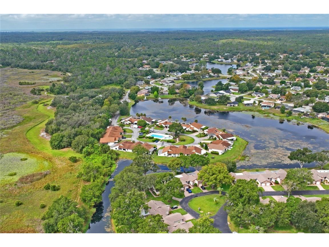 9195 Lingrove Road Weeki Wachee FL 34613 W7879380 image49