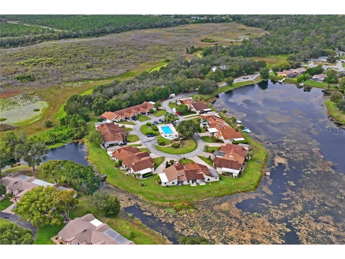 9195 Lingrove Road Weeki Wachee FL 34613 W7879380 image50