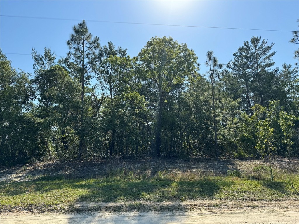 9195 SW 121st Terrace Dunnellon FL 34432 OM677060 image1