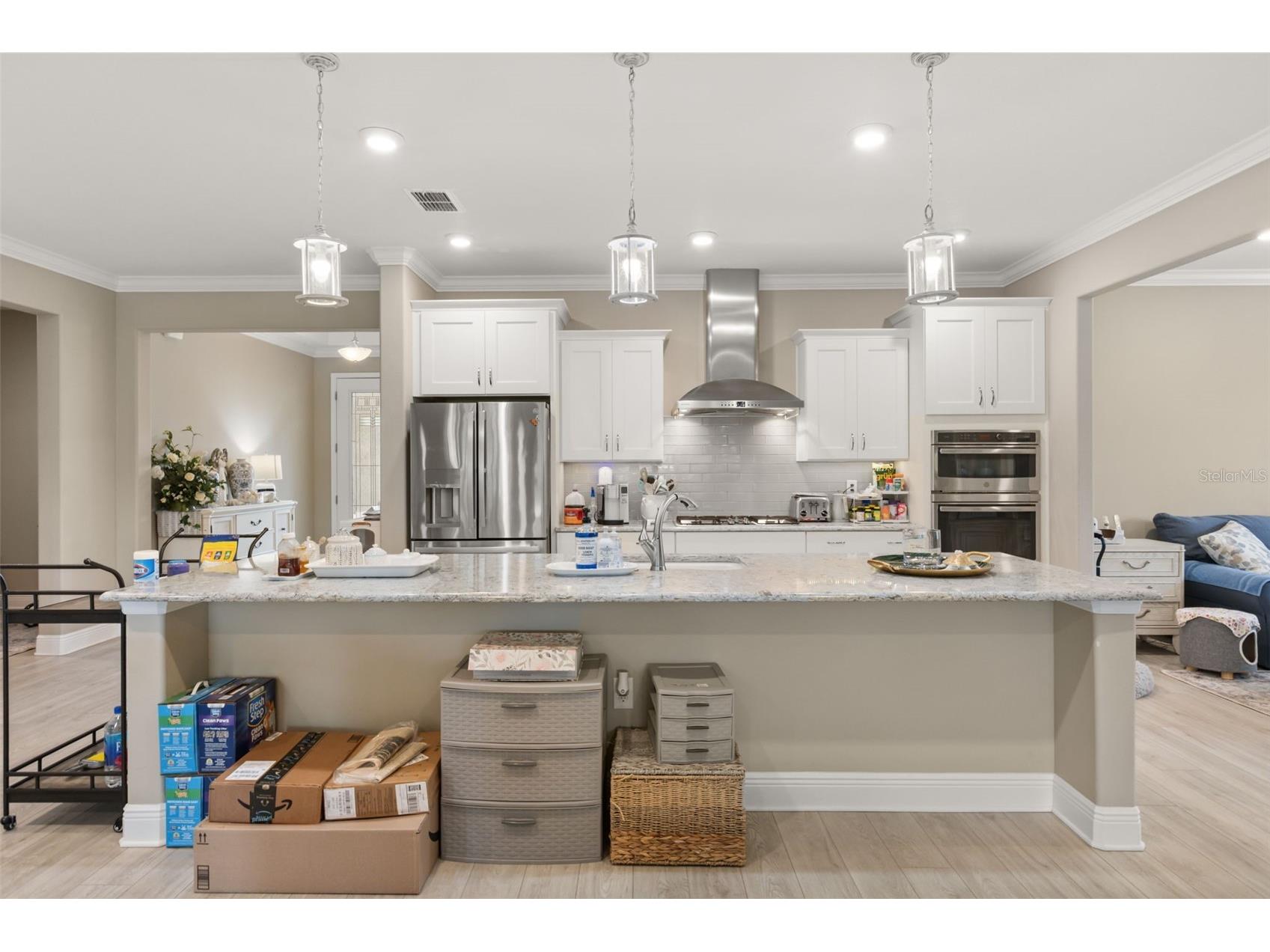 9197 SW 89th Loop Ocala FL 34481 OM725642 image20