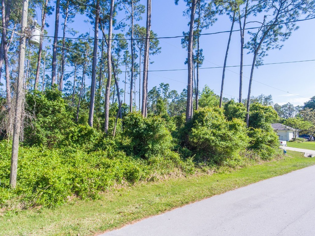 92 Brushwood Lane Palm Coast FL 32137 FC290429 image1