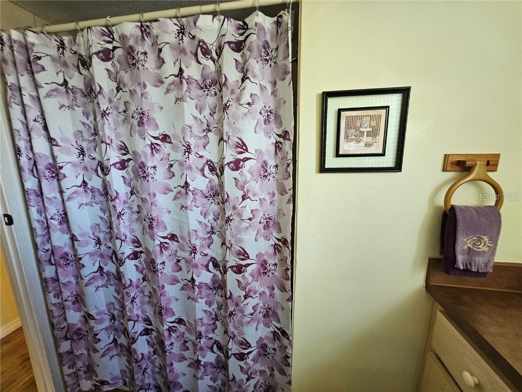 92 Constitution Lane Frostproof FL 33843 P4928988 image15