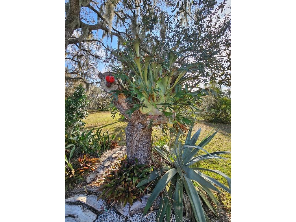 92 Constitution Lane Frostproof FL 33843 P4928988 image27