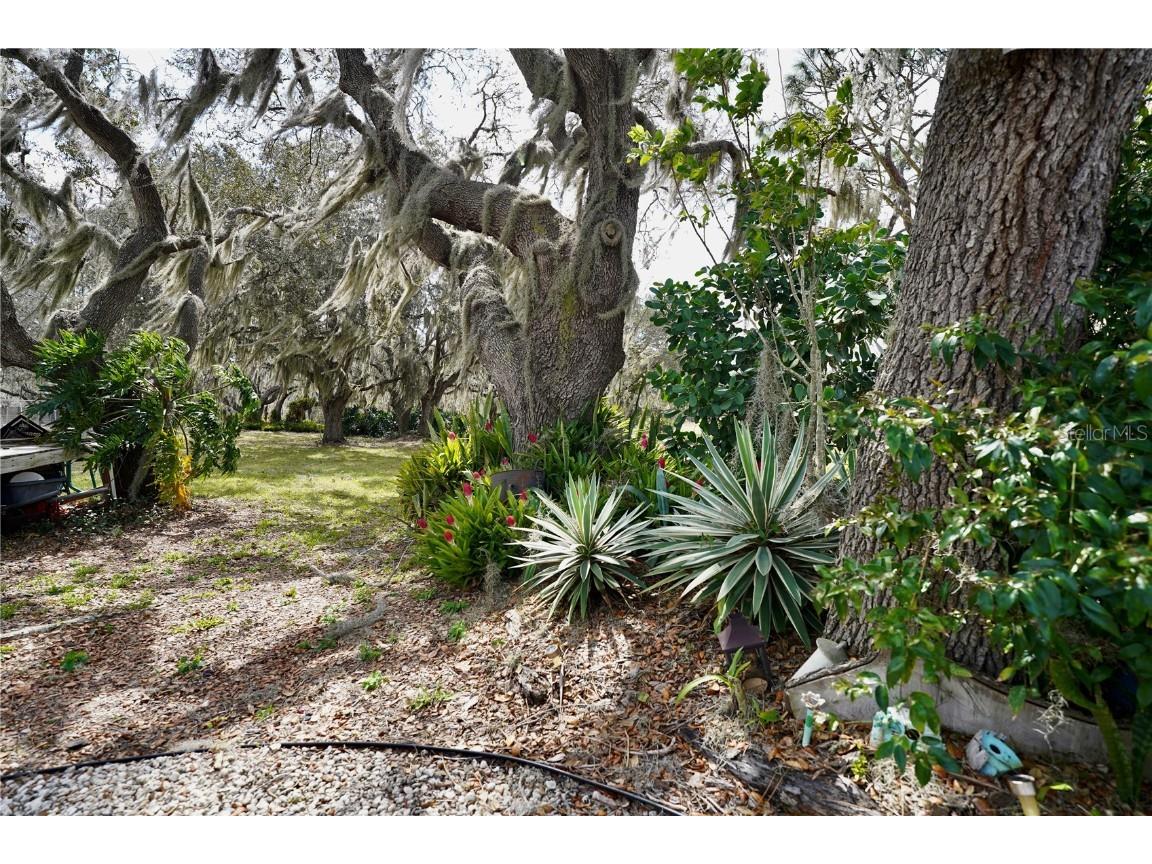 92 Constitution Lane Frostproof FL 33843 P4928988 image45